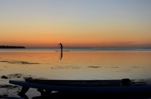 Stand up Paddling Sunshine Key - USA                  